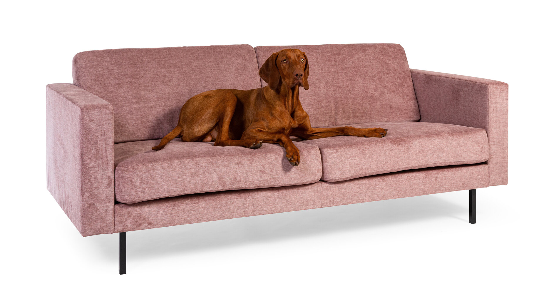 Sofa Võru Empak Linea 3 hind ja info | Diivanvoodid ja diivanid | hansapost.ee