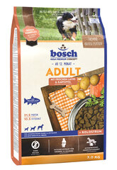 Bosch Petfood Adult Salmon & Potato (High Premium) 3kg hind ja info | Koerte kuivtoit ja krõbinad | hansapost.ee