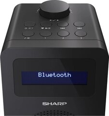 SHARP DR-430 цена и информация | Радиоприёмники | hansapost.ee