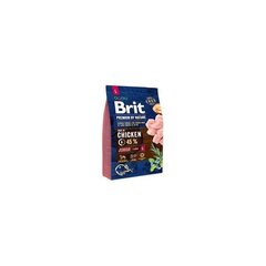 Brit Premium by Nature Junior L полноценный корм для собак 15кг цена и информация | Сухой корм для собак | hansapost.ee