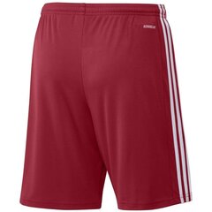 Meeste lühikesed spordipüksid Adidas Squadra 21 Short M, punased цена и информация | Мужская спортивная одежда | hansapost.ee