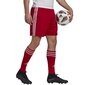 Meeste lühikesed spordipüksid Adidas Squadra 21 Short M, punased hind ja info | Spordiriided meestele | hansapost.ee