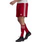 Meeste lühikesed spordipüksid Adidas Squadra 21 Short M, punased hind ja info | Spordiriided meestele | hansapost.ee