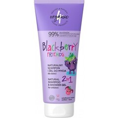 Šampoon ja pesugeel lastele 2in1 Blackberry Friends 4organic, 200ml hind ja info | 4organic Parfüümid, lõhnad ja kosmeetika | hansapost.ee