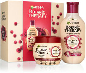 Набор Garnier Ricinus Oil & Almond: шампунь, 250 мл + маска для волос, 300 мл цена и информация | Шампуни | hansapost.ee