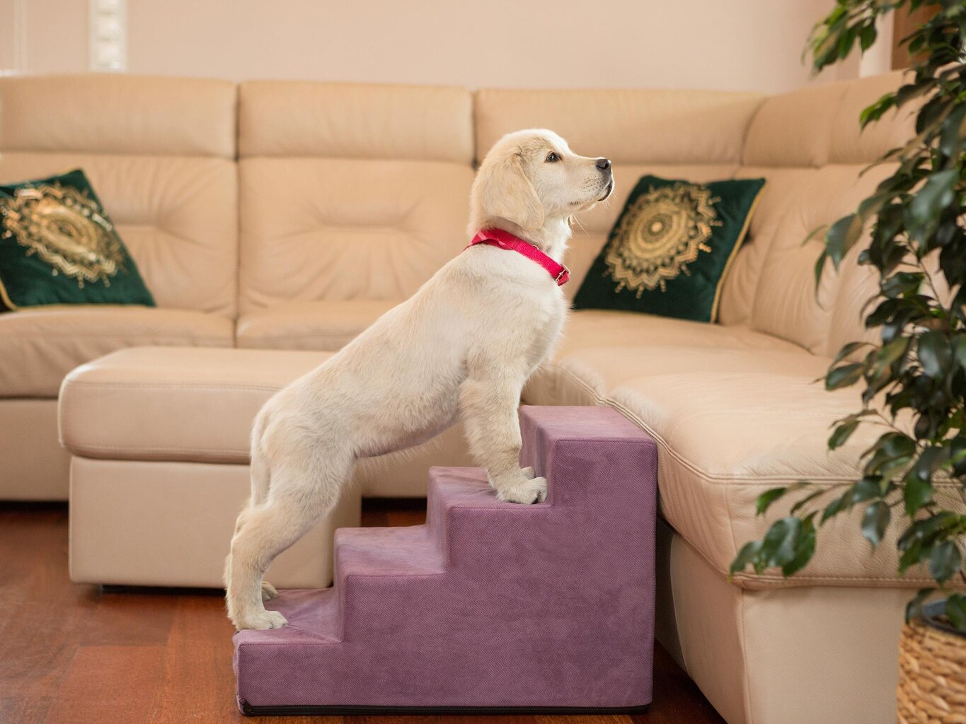 Hobbydog trepp Savoy 4, lilla, 60x40x40 cm hind ja info | Pesad, asemed | hansapost.ee