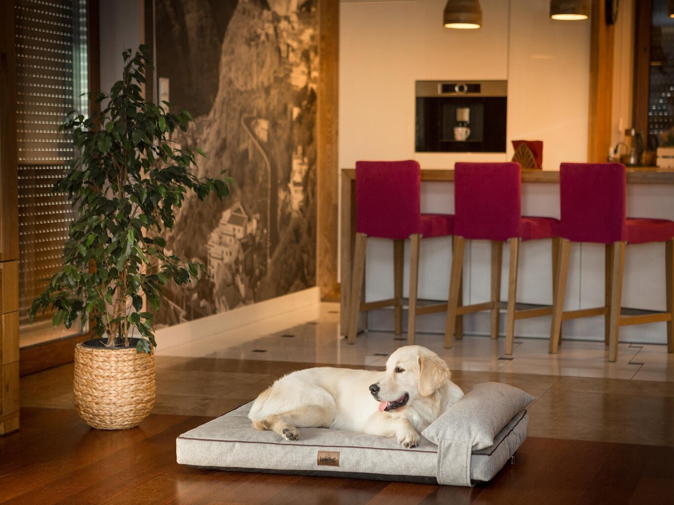 Koera madrats Hobbydog Move Cappuccino, XL, 118x78 cm hind ja info | Pesad, asemed | hansapost.ee