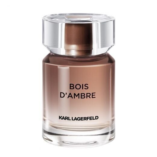 Karl Lagerfeld Bois d'Ambre EDT 50 ml цена и информация | Parfüümid meestele | hansapost.ee