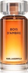 Karl Lagerfeld Bois d'Ambre EDT 100ml hind ja info | Parfüümid meestele | hansapost.ee
