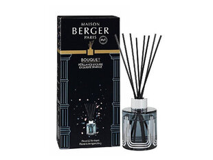 Pulkadega kodulõhn Maison Berger Paris, 115 ml hind ja info | Maison Berger Paris Parfüümid, lõhnad ja kosmeetika | hansapost.ee