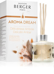 Maison Berger Paris Диффузор Aroma Dream Fine Amber Delicate Amber 180 мл цена и информация | Ароматы для дома | hansapost.ee