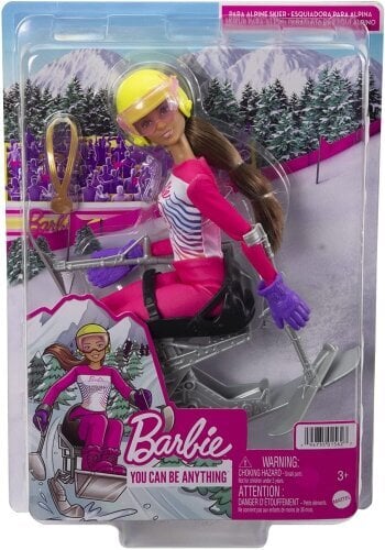 Mattel - Barbie You Can Be Anything Para Alpine Skier Brunette Doll / from Assort цена и информация | Mänguasjad tüdrukutele | hansapost.ee