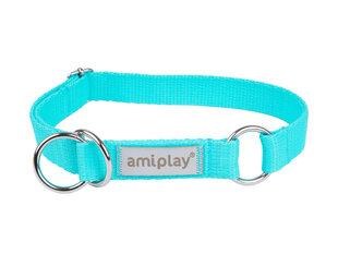 Amiplay cлип-ошейник Samba, L, Turquoise цена и информация | Ошейники, подтяжки для собак | hansapost.ee