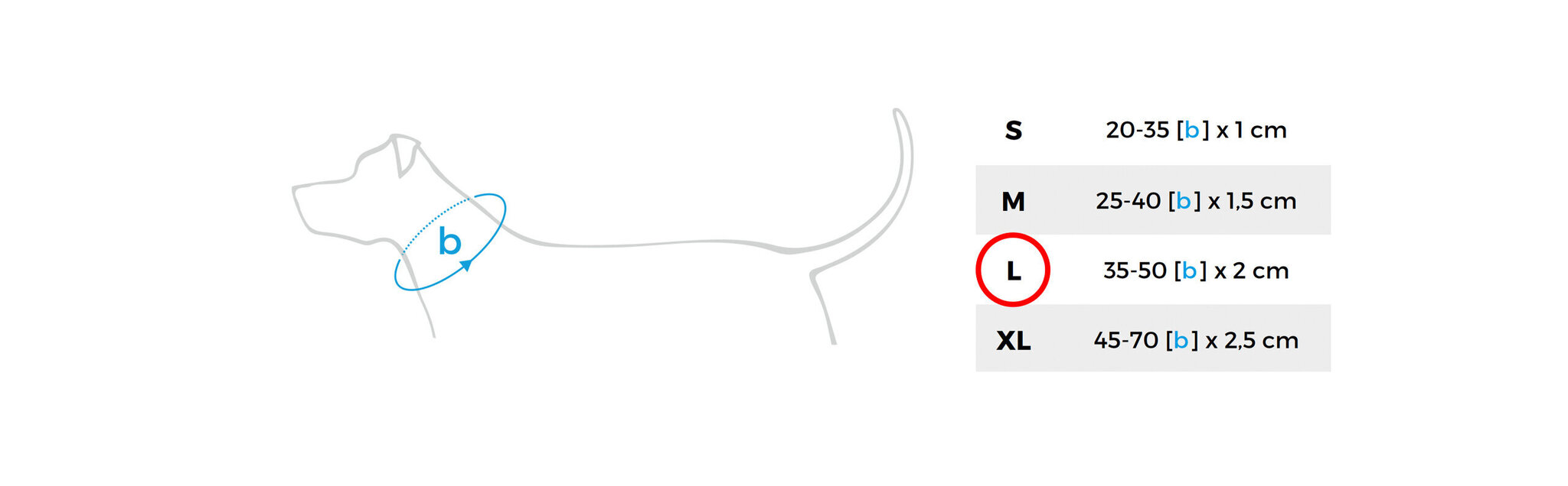Amiplay reguleeritav kaelarihm Adventure Moro, L, 35-50x2 cm hind ja info | Koerte kaelarihmad ja traksid | hansapost.ee