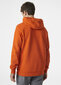 Helly Hansen meeste dressipluus HH LOGO, oranž hind ja info | Pusad meestele | hansapost.ee