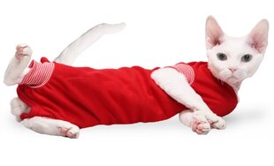 Grande Finale послеоперационная футболка (красная) XXS 22см цена и информация | Одежда для собак | hansapost.ee