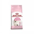 Kassitoit Royal Canin Kitten 0,4 kg