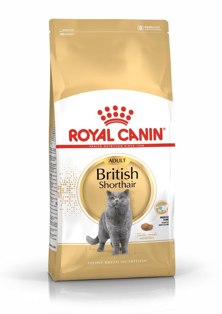 Kassitoit Royal Canin British shorthair 10 kg цена и информация | Kassi kuivtoit ja kassikrõbinad | hansapost.ee