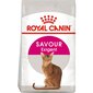 Kassitoit Royal Canin Exigent Savour Sensation 10 kg hind ja info | Kassi kuivtoit ja kassikrõbinad | hansapost.ee