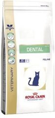Kuivtoit Royal Canin tervete hammastega kassidele Cat dental, 3 kg hind ja info | Kassi kuivtoit ja kassikrõbinad | hansapost.ee