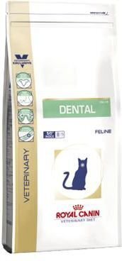 Kuivtoit Royal Canin tervete hammastega kassidele Cat dental, 3 kg цена и информация | Kassi kuivtoit ja kassikrõbinad | hansapost.ee