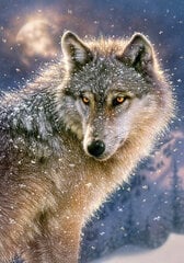 Пазл Castorland Lone Wolf, 500 дет. цена и информация | Пазлы | hansapost.ee