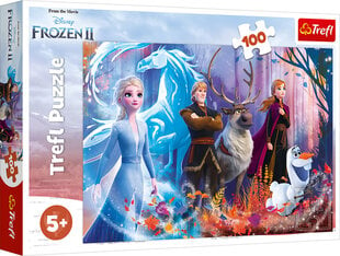 TREFL Pusle 100 Frozen 2 hind ja info | Pusled lastele ja täiskasvanutele | hansapost.ee