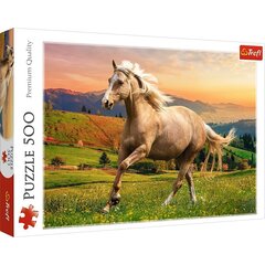 TREFL Pusle 500 Hobune hind ja info | Pusled lastele ja täiskasvanutele | hansapost.ee