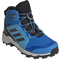 Laste matkasaapad Adidas Terrex Mid Gtx K Jr GY7682, sinine hind ja info | Adidas Laste ja beebide jalatsid | hansapost.ee