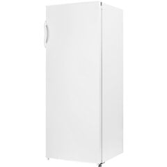 PHILCO PTL 2352  цена и информация | Холодильники | hansapost.ee