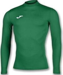 Рубашка с длинным рукавом детская Joma Sport ACADEMY SHIRT BRAMA Зеленый цена и информация | Мужские футболки | hansapost.ee