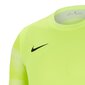 Meeste T-särk Nike Dry Park IV M CJ6066-702, roheline hind ja info | Spordiriided meestele | hansapost.ee