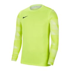 Футболка мужская Nike Dry Park IV M CJ6066-702, зеленая цена и информация | Мужская спортивная одежда | hansapost.ee