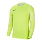 Meeste T-särk Nike Dry Park IV M CJ6066-702, roheline цена и информация | Spordiriided meestele | hansapost.ee