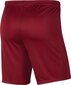 Meeste lühikesed püksid Nike Dry Park III M BV6855-677, punane hind ja info | Spordiriided meestele | hansapost.ee