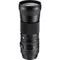 Sigma 150-600mm F5-6.3 DG OS HSM, Contemporary, Nikon F mount hind ja info | Fotoaparaatide objektiivid | hansapost.ee