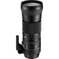 Sigma 150-600mm F5-6.3 DG OS HSM, Contemporary, Nikon F mount цена и информация | Fotoaparaatide objektiivid | hansapost.ee