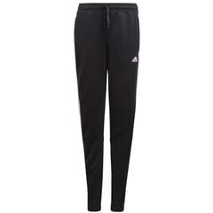 Спортивные штаны для девочек Adidas D2M 3 Stripes Pant Jr GN1464 цена и информация | Брюки для девочки, бирюзовые | hansapost.ee