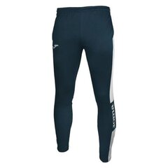 Спортивные штаны для мальчиков Joma Champion IV M 100761.302 цена и информация | Мужская спортивная одежда | hansapost.ee