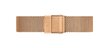 Daniel Wellington Petite Melrose 28 naiste käekell hind ja info | Käekellad naistele | hansapost.ee