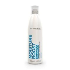 Niisutav šampoon Asp Mode Moisture Boost, 300ml hind ja info | Šampoonid | hansapost.ee
