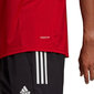 Meeste spordisärk Adidas Squadra 21 Polo M GP6429, punane hind ja info | Spordiriided meestele | hansapost.ee