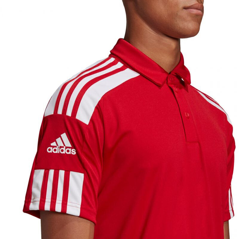 Meeste spordisärk Adidas Squadra 21 Polo M GP6429, punane цена и информация | Spordiriided meestele | hansapost.ee