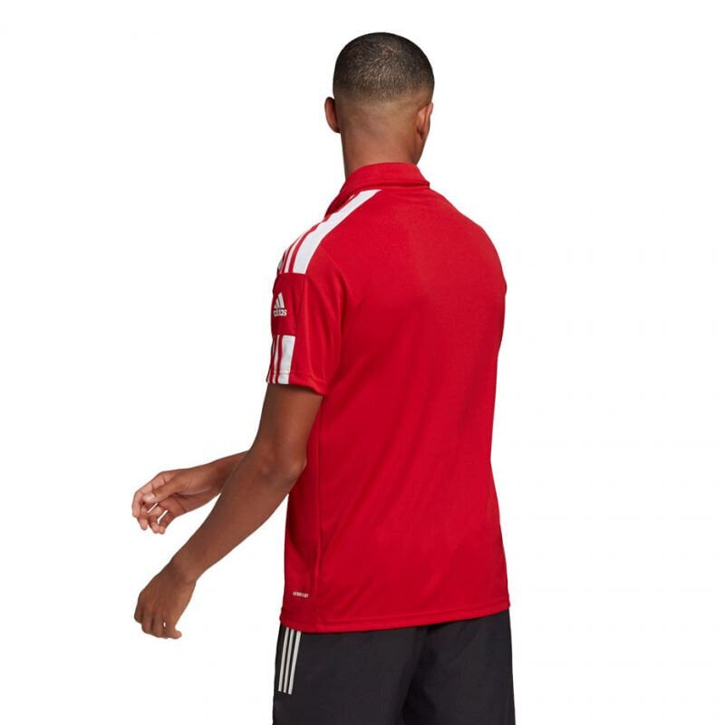 Meeste spordisärk Adidas Squadra 21 Polo M GP6429, punane цена и информация | Spordiriided meestele | hansapost.ee