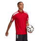 Meeste spordisärk Adidas Squadra 21 Polo M GP6429, punane цена и информация | Spordiriided meestele | hansapost.ee