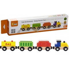 Деревянный поезд «Viga» цена и информация | Развивающие игрушки для детей | hansapost.ee