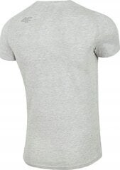 Мужская футболка 4F, серая цена и информация | Мужские футболки | hansapost.ee