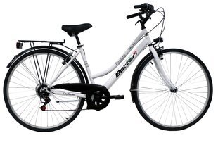 Велосипед GOOD BIKE цена и информация | Bottari Спорт, досуг, туризм | hansapost.ee