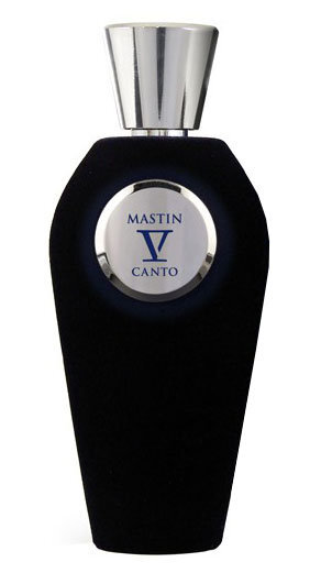 Parfüümvesi V Canto Mastin EDP naistele/meestele 100 ml price and information | Parfüümid naistele | hansapost.ee