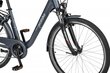 Elektriratas Ecobike Traffic 11,6 Ah 26", sinine hind ja info | Elektrijalgrattad | hansapost.ee